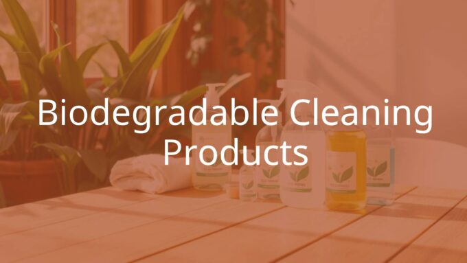 Eco-friendly cleaning products on a wooden table, surrounded by plants and natural light, with a fresh and clean vibe, illustrative style.