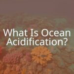 An underwater scene showing coral reefs and marine life affected by ocean acidification, with a graph or visual indicator of rising acidity levels, realistic and detailed.