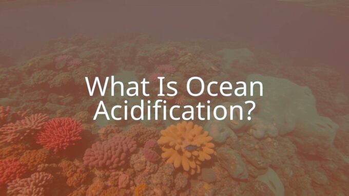 An underwater scene showing coral reefs and marine life affected by ocean acidification, with a graph or visual indicator of rising acidity levels, realistic and detailed.