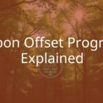 A green forest with a carbon offset credit symbol floating above, sunlight filtering through trees, eco-friendly and sustainable vibe, realistic.