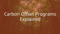 A green forest with a carbon offset credit symbol floating above, sunlight filtering through trees, eco-friendly and sustainable vibe, realistic.