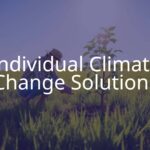 A person planting a tree in a sunny meadow, eco-friendly lifestyle, renewable energy vibe, realistic and hopeful.