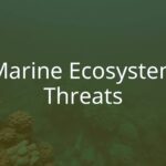 Underwater marine ecosystem with stressed coral reefs and diverse sea life, dark and moody tone, realistic.