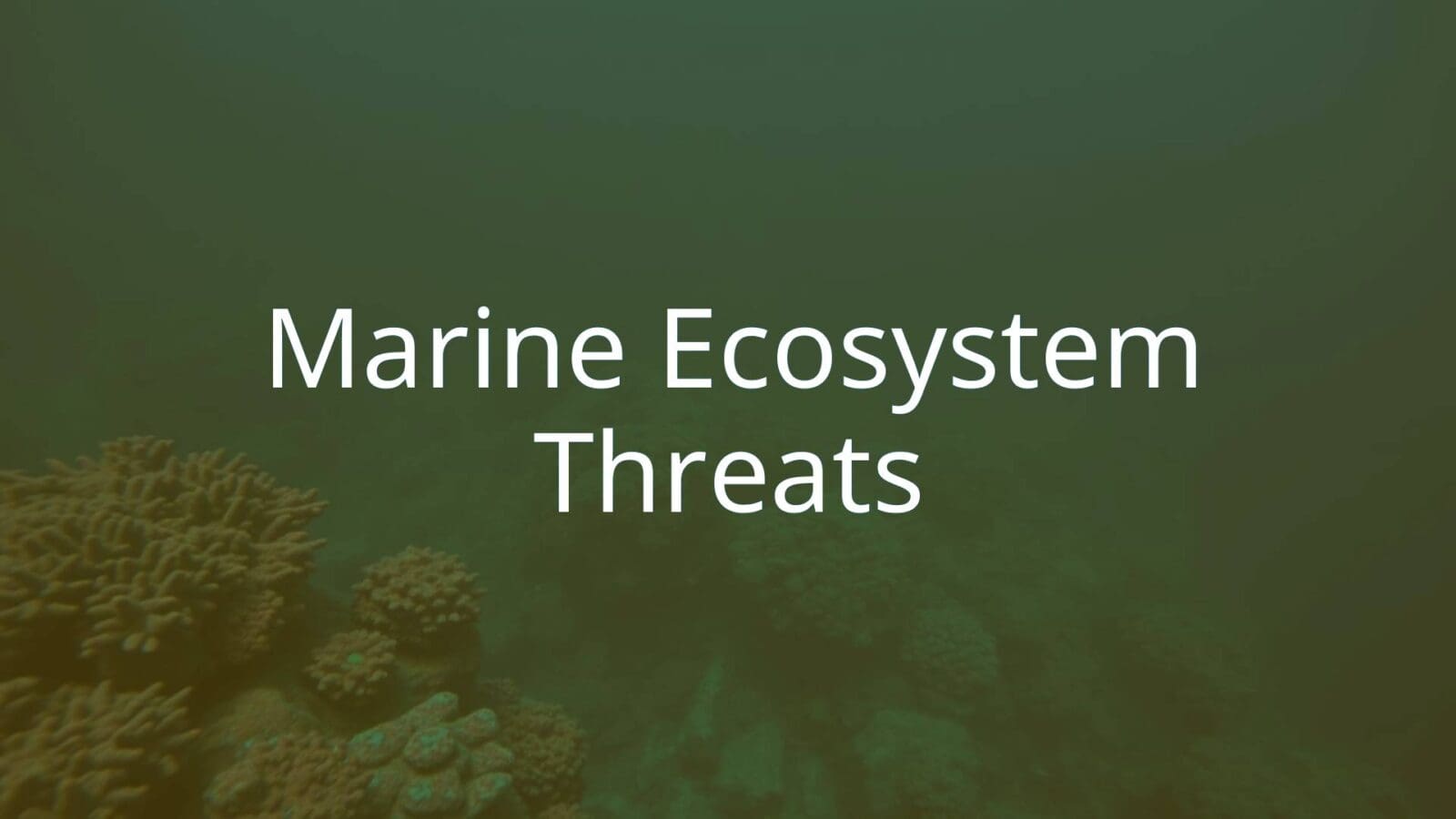 Underwater marine ecosystem with stressed coral reefs and diverse sea life, dark and moody tone, realistic.