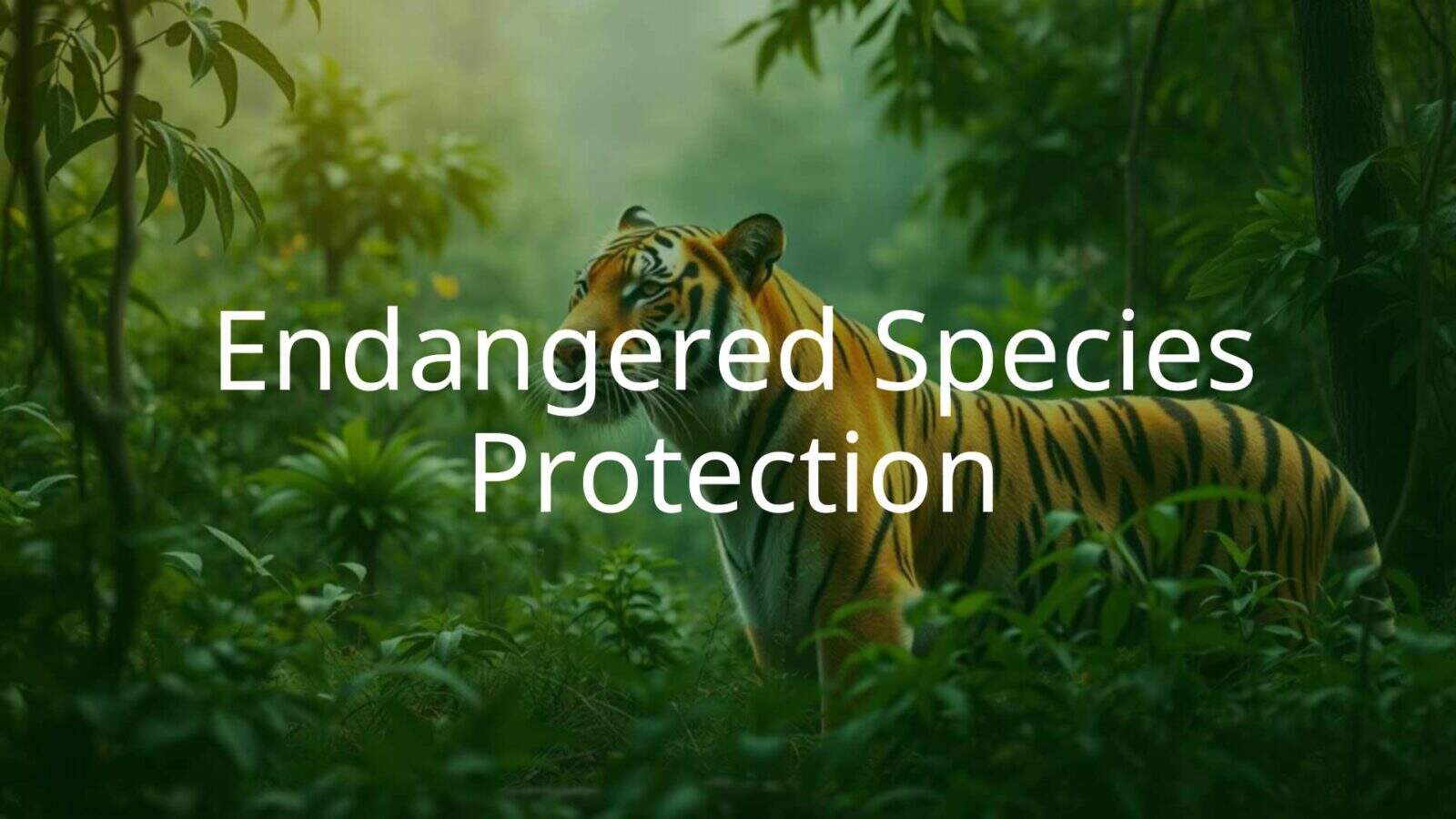 A majestic tiger in a lush green forest, endangered species protection, conservation theme, realistic and hopeful.