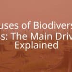 Deforested landscape with scattered tree stumps, smoky haze in the background, endangered animals looking distressed, realistic and somber tone.