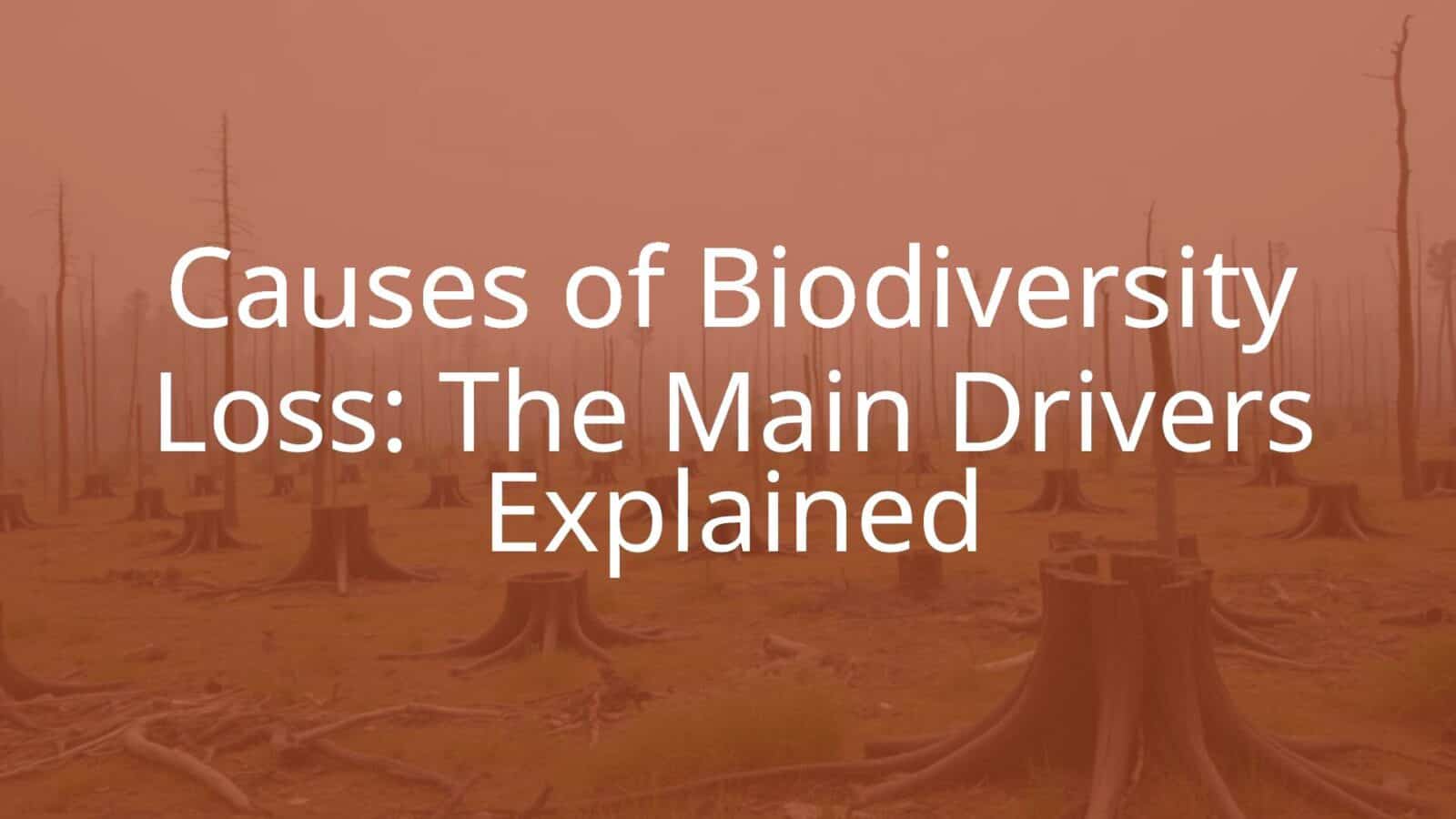 Deforested landscape with scattered tree stumps, smoky haze in the background, endangered animals looking distressed, realistic and somber tone.