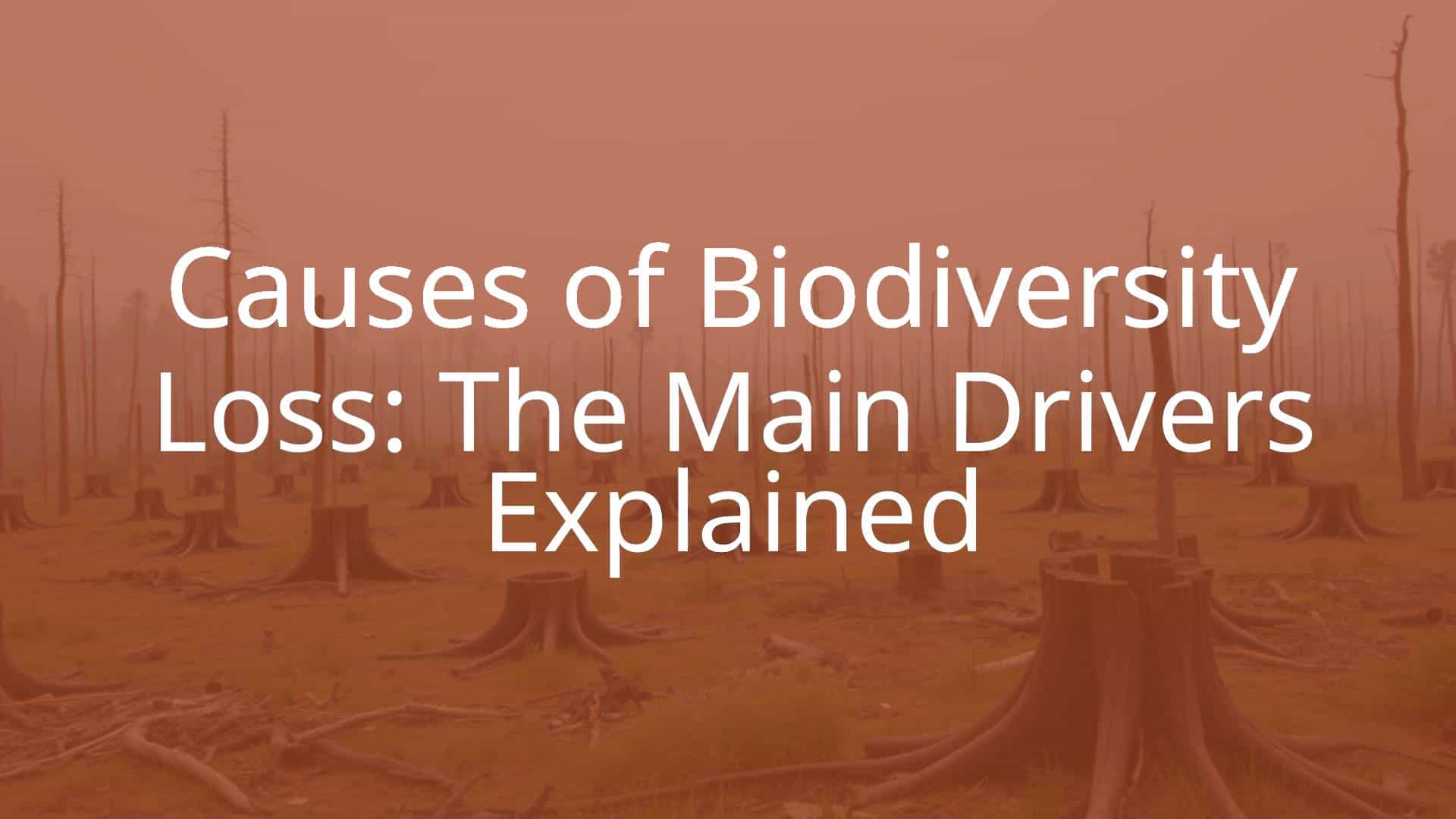 Causes of Biodiversity Loss: The Main Drivers Explained - Live Sustainably