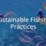 Sustainable fishing scene, fishermen using eco-friendly nets, clear ocean water, diverse marine life, sunny day, realistic.