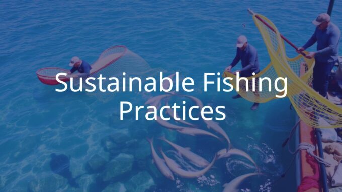 Sustainable fishing scene, fishermen using eco-friendly nets, clear ocean water, diverse marine life, sunny day, realistic.