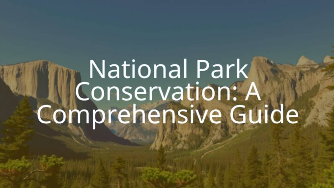 Scenic national park landscape with mountains, trees, and a clear blue sky, realistic and vibrant, showcasing nature conservation.